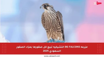 مزرعة BG FALCONS التشيكية تبيع كل صقورها بمزاد الصقور السعودي 2025